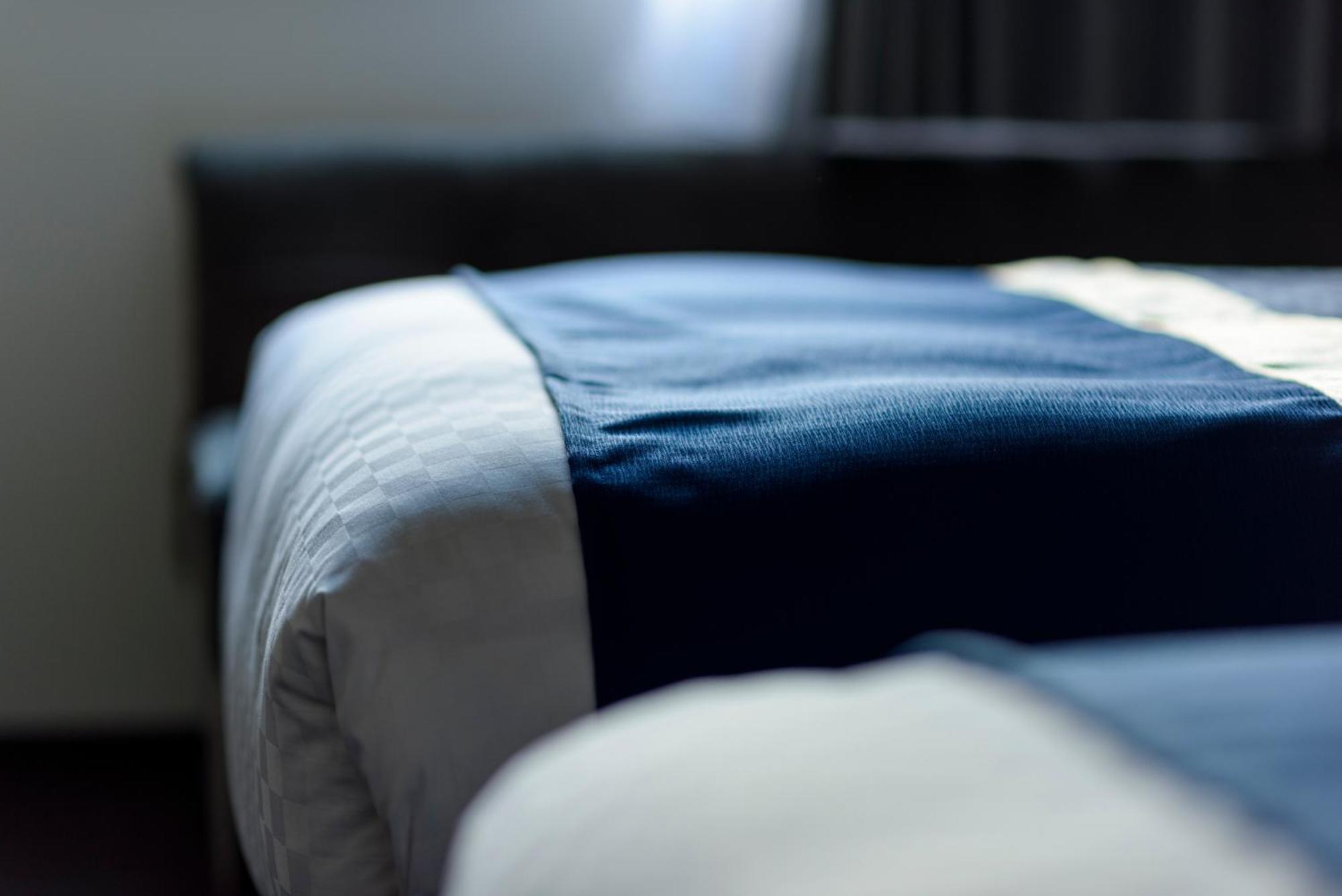 Superior Tweepersoonskamer met 2 Aparte Bedden en Slaapbank - Rookvrij