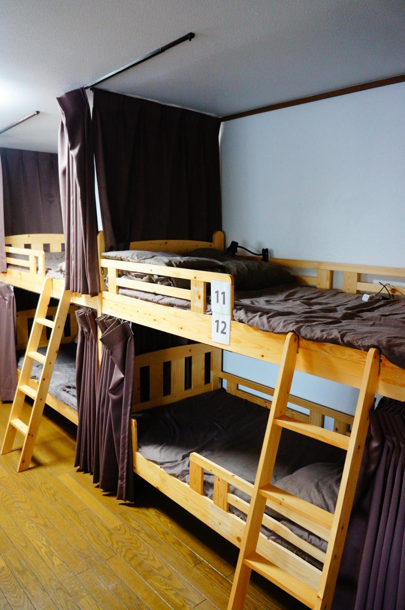 Bunk Bed Mixed Dormitory Room