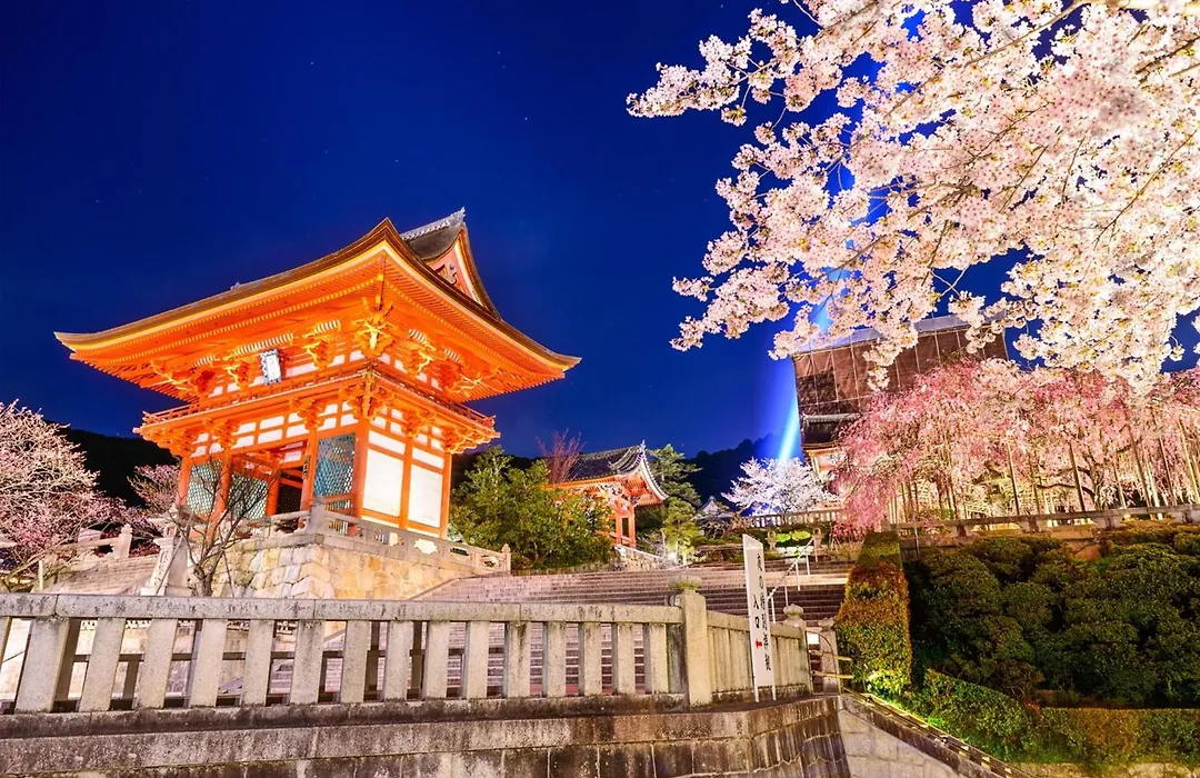Osaka - Hotel / Vacation Stay 65245-1