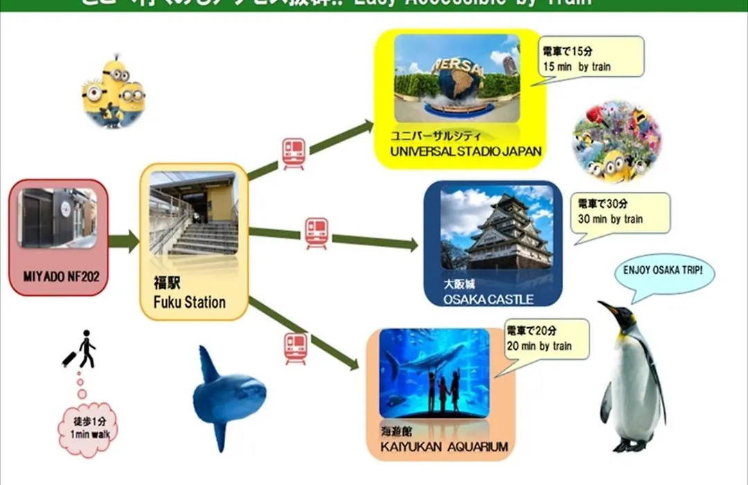 Miyado Nf 202-1