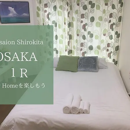 Exsaison Shirokita 208-3