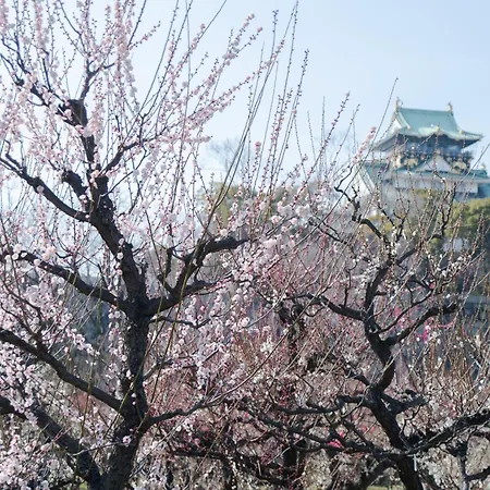 Tomo Tsuruhashi Guesthouse-3