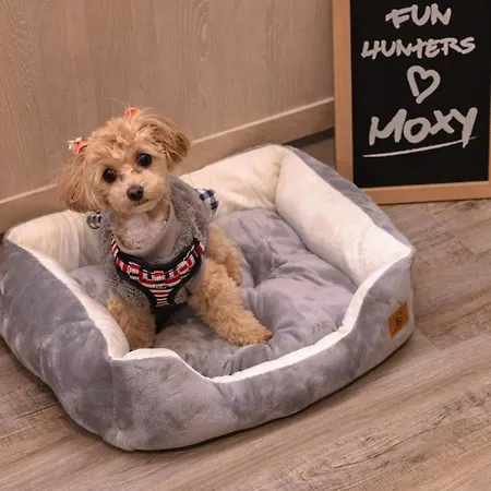 Moxy Osaka Honmachi-2