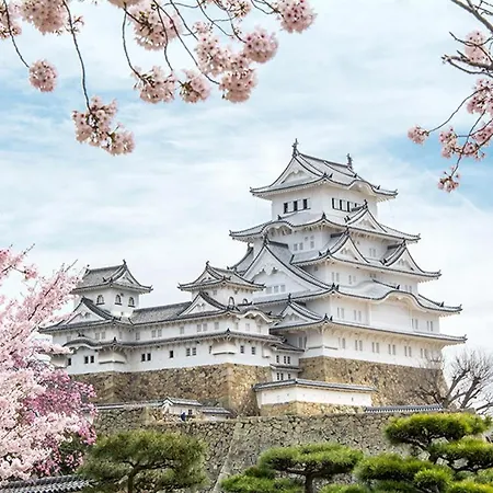 北巽サクラハウス一軒家 Sakura House Guest House Kitatatsumi 最大16名-2
